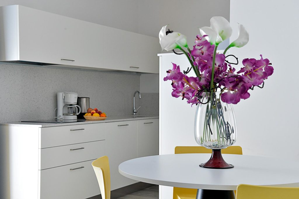 EcoHotel Primavera - Appartamento con due camere Deluxe - Fuoco - zona giorno e cucina